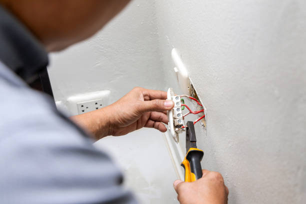 Best Electric Panel Repair  in Wisr, NE